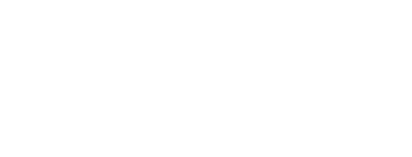 Professional2B Logo